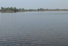IMAG0763