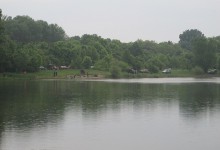 IMG_1923