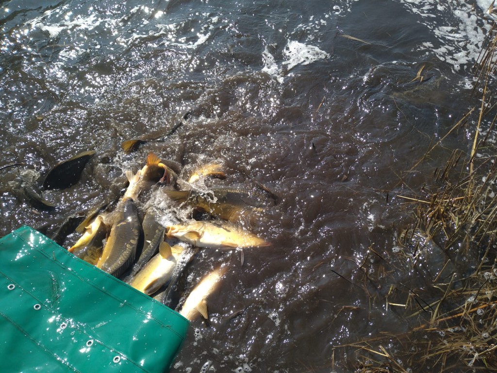 IMG-20210331-WA0007