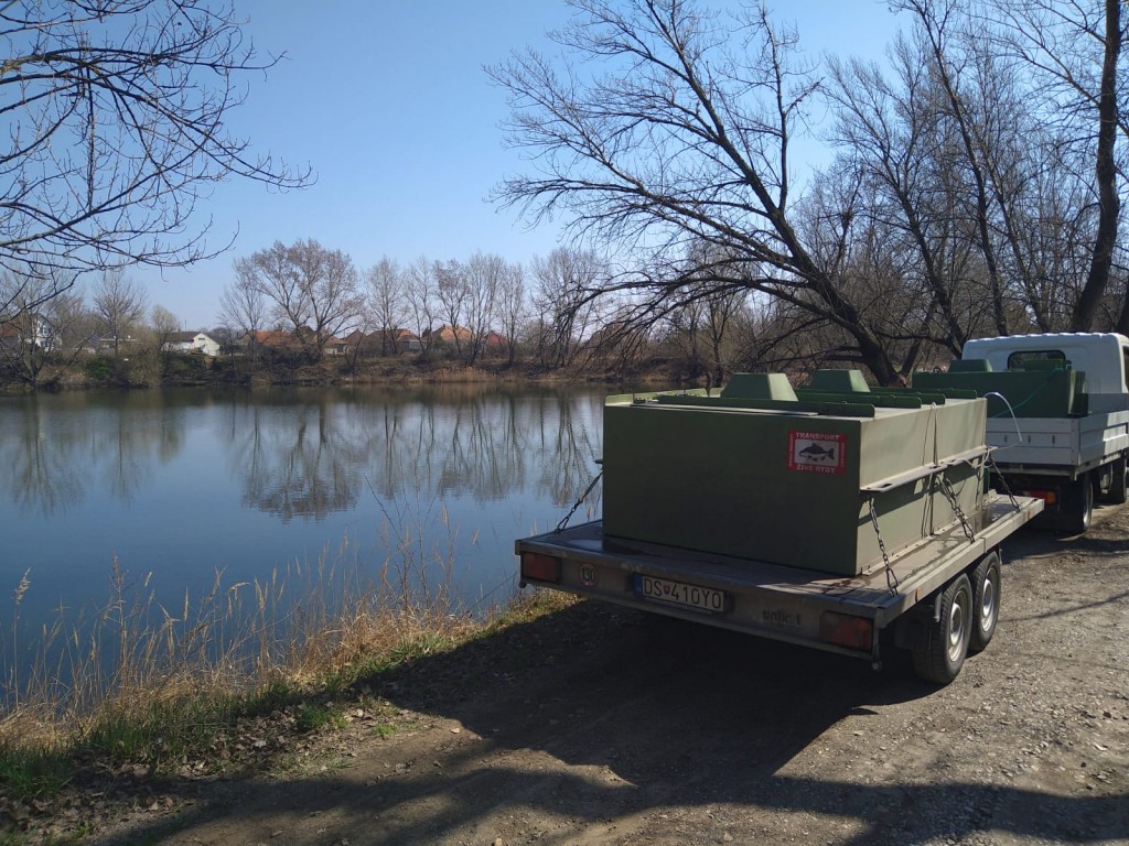 IMG-20210331-WA0012