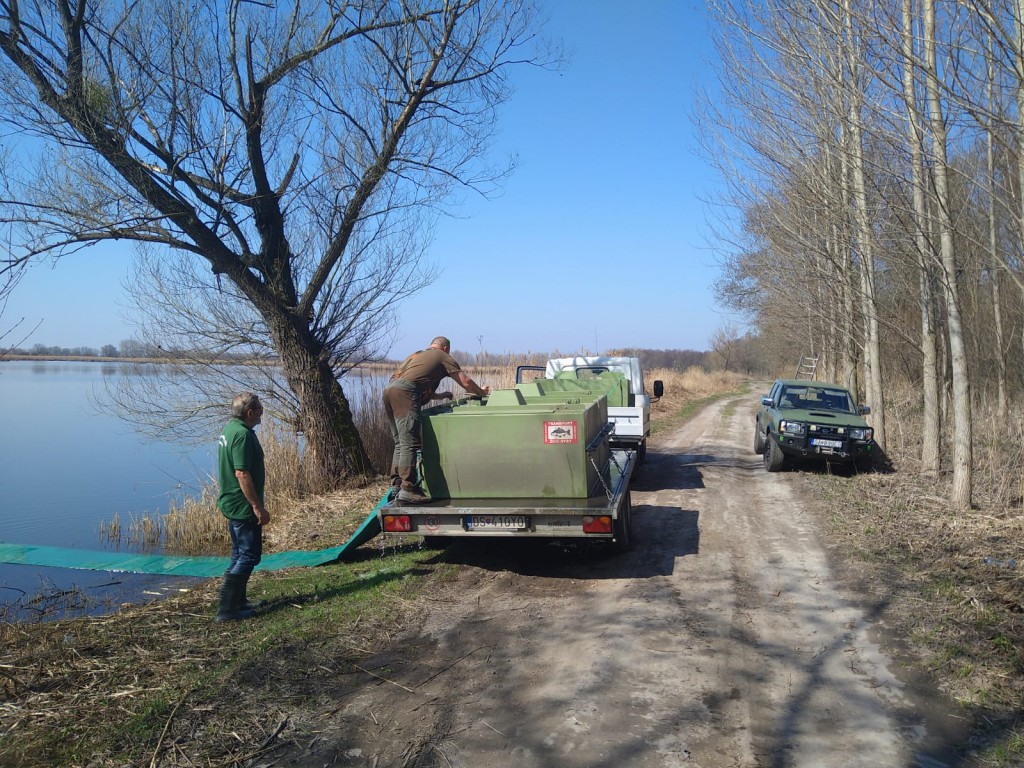 IMG-20210331-WA0014